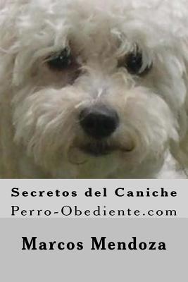 Secretos del Caniche: Perro-Obediente.com