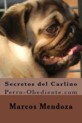 Secretos del Carlino: Perro-Obediente.com