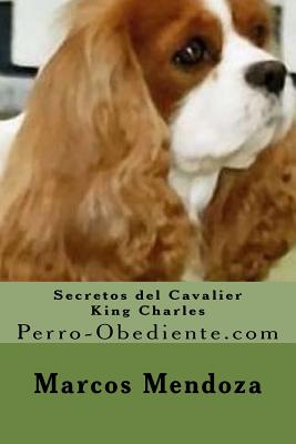 Secretos del Cavalier King Charles: Perro-Obediente.com