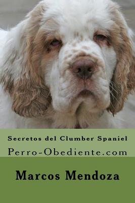 Secretos del Clumber Spaniel: Perro-Obediente.com