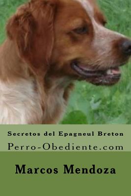 Secretos del Epagneul Breton: Perro-Obediente.com