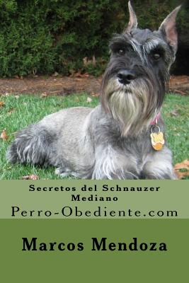 Secretos del Schnauzer Mediano: Perro-Obediente.com