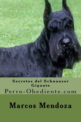 Secretos del Schnauzer Gigante: Perro-Obediente.com