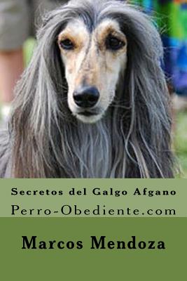 Secretos del Galgo Afgano: Perro-Obediente.com