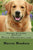 Secretos del Golden Retriever: Perro-Obediente.com