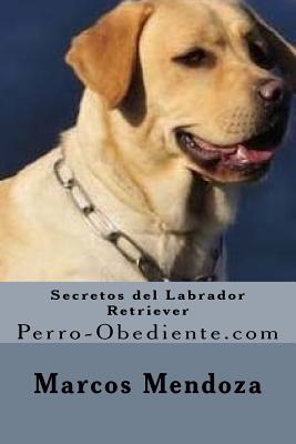 Secretos del Labrador Retriever: Perro-Obediente.com