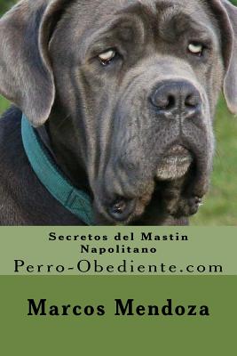 Secretos del Mastin Napolitano: Perro-Obediente.com