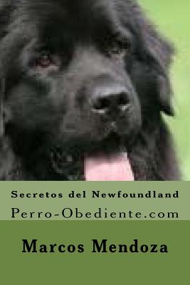 Secretos del Newfoundland: Perro-Obediente.com