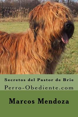 Secretos del Pastor de Brie: Perro-Obediente.com