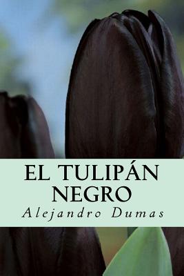 El Tulipán Negro