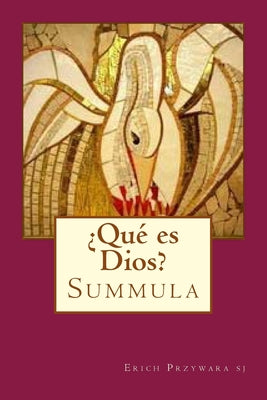 ¿Qué es Dios?: Summula