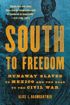 South to Freedom: Runaway Slaves to Mexico and the Road to the Civil War