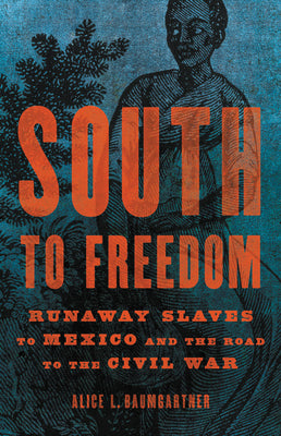 South to Freedom: Runaway Slaves to Mexico and the Road to the Civil War