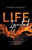 Life Ignited: A Hopeful Journey, Sparked by Fire