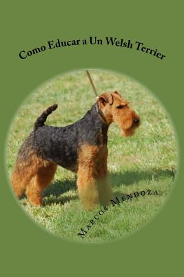 Como Educar a Un Welsh Terrier