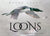 Loons: Treasured Symbols of the North