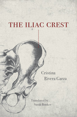 The Iliac Crest