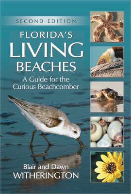 Florida's Living Beaches: A Guide for the Curious Beachcomber