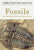 Fossils: A Fully Illustrated, Authoritative and Easy-To-Use Guide