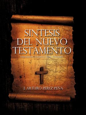 Sintesis del Nuevo Testamento