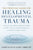 The Practical Guide for Healing Developmental Trauma: Using the Neuroaffective Relational Model to Address Adverse Childhood Experiences and Resolve C