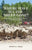 Where Have All the Sheep Gone?: Sheepherders and Ranchers in Arizona -- A Disappearing Industry