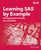 Learning SAS by Example: A Programmer's Guide, Second Edition