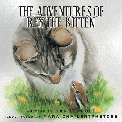 The Adventures of Rey the Kitten