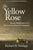 The Yellow Rose: Racial Stratification in a Mexican American Community