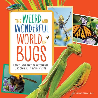 The Weird and Wonderful World of Bugs: A Book about Beetles, Butterflies, and Other Fascinating Insects