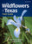 Wildflowers of Texas Field Guide