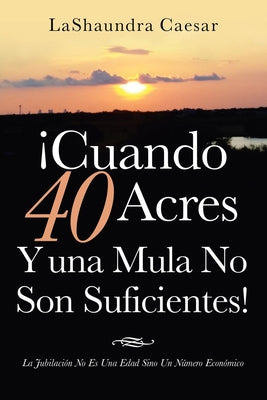 ¡Cuando 40 Acres Y Una Mula No Son Suficientes!: La Jubilación No Es Una Edad Sino Un Número Económico