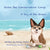 Rosie the Conservation Corgi: A Day at the Ocean