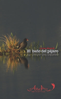 El baño del pájaro