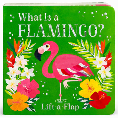 What Is a Flamingo?