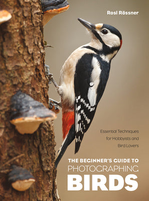 The Beginner's Guide to Photographing Birds: Essential Techniques for Hobbyists and Bird Lovers