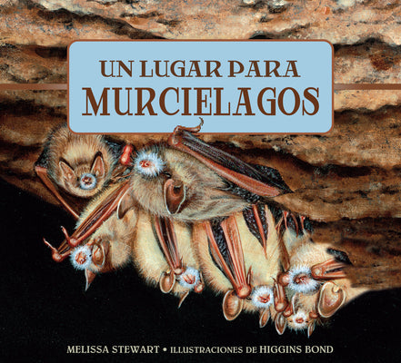 Un Lugar Para Los Murciélagos