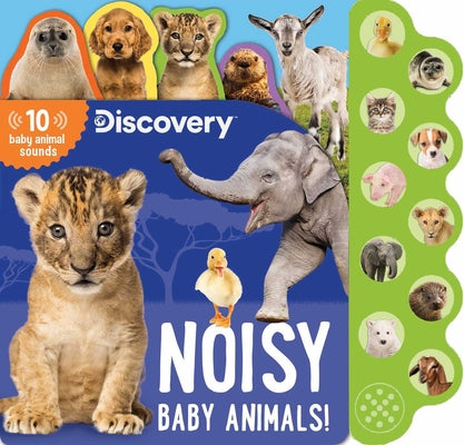 Discovery: Noisy Baby Animals!