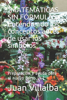 "Matemáticas Sin Fórmulas: Entendiendo los conceptos antes de usar los símbolos" Preparación y ayuda para el nuevo curso (4)