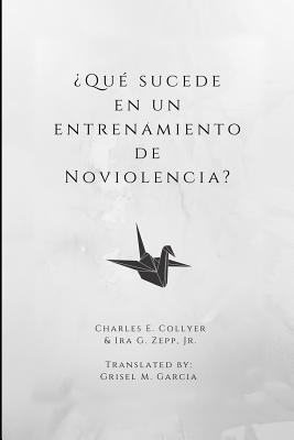 ¿Qué sucede en un entrenamiento de Noviolencia?