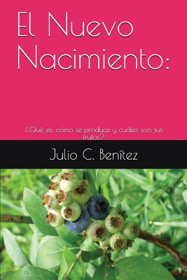 El Nuevo Nacimiento: ¿Qué es, cómo se produce y cuáles son sus frutos?