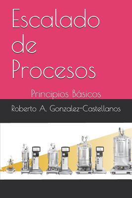 Escalado de Procesos: Principios Básicos