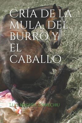 Cría de la Mula, del Burro Y El Caballo