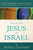 The Gospel of Matthew Through New Eyes Volume Two: Jesus as Israel