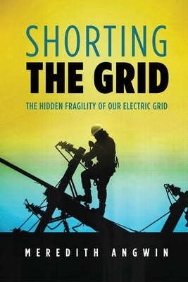 Shorting the Grid: The Hidden Fragility of Our Electric Grid