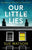 Our Little Lies: An absolutely gripping psychological thriller with a brilliant twist