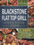 Blackstone Flat Top Grill Cookbook 2000: 2000 Days Vibrant and Easy Grill Recipes with Your Blackstone Flat Top Grill