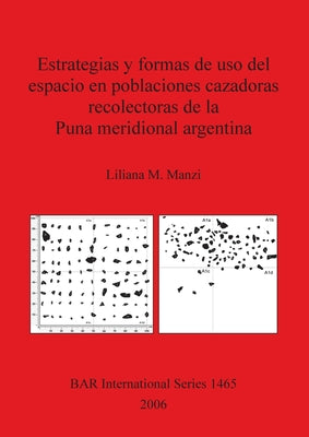 Estrategias y formas de uso del espacio en poblaciones cazadoras recolectoras de la Puna meridional argentina