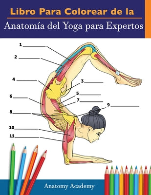 Libro Para Colorear de la Anatomía del Yoga para Expertos: 50+ Ejercicios de Colores con Posturas de Yoga Para Principiantes El Regalo Perfecto Para I