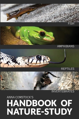 The Handbook Of Nature Study in Color - Fish, Reptiles, Amphibians, Invertebrates